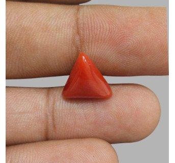 Italian Red Coral 5.73ct.@1300 per. ct.(Luxury)