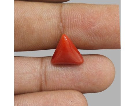 Italian Red Coral 5.73ct.@1300 per. ct.(Luxury)