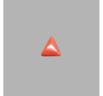 Italian Red Coral 5.73ct.