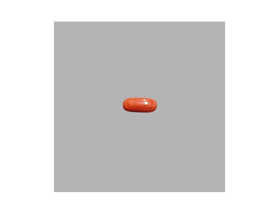 Italian Red Coral 5.51ct.@700 per. ct.(Super Premium) Italian Red Coral 5.51ct.@700 per. ct.(Super Premium)