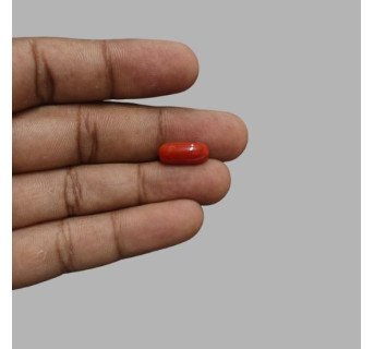 Italian Red Coral 5.51ct.@700 per. ct.(Super Premium)