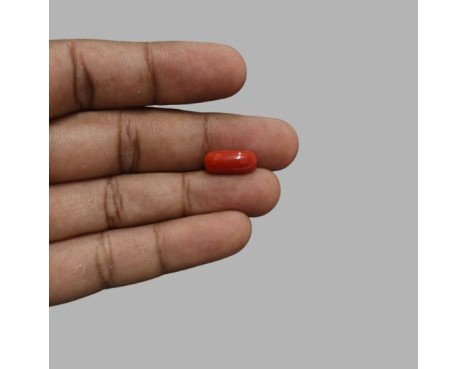 Italian Red Coral 5.51ct.@700 per. ct.(Super Premium)