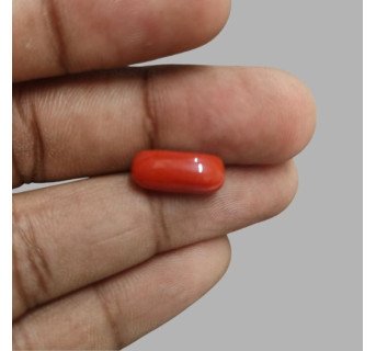 Italian Red Coral 6.08ct.@700 per. ct.(Super Premium)