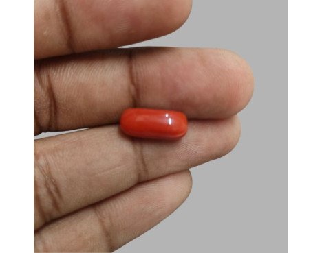 Italian Red Coral 6.08ct.@700 per. ct.(Super Premium)