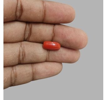 Italian Red Coral 5.30ct.@700 per. ct.(Premium)