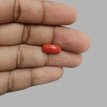 Italian Red Coral 5.30ct.@700 per. ct.(Premium)