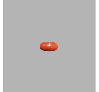 Italian Red Coral 5.55ct.