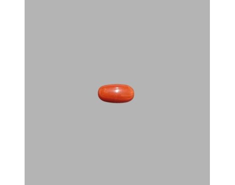 Italian Red Coral 5.55ct.
