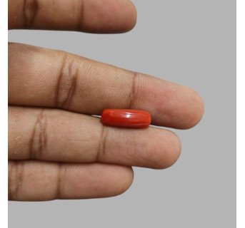 Italian Red Coral 5.55ct.@400 per. ct.(Economy)