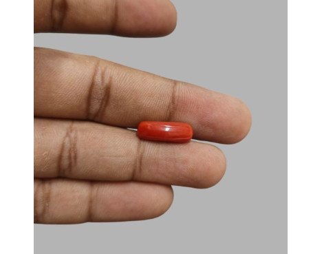 Italian Red Coral 5.55ct.@400 per. ct.(Economy)