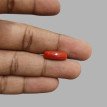 Italian Red Coral 5.55ct.@400 per. ct.(Economy)