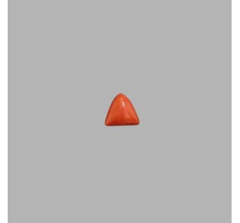 Italian Red Coral 5.87ct.