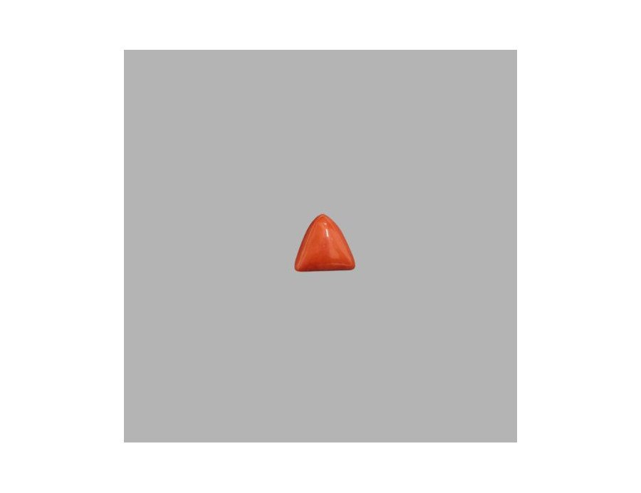 Italian Red Coral 5.87ct.@1300 per. ct.(Luxury)