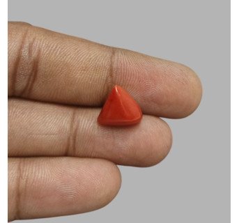 Italian Red Coral 5.87ct.@1300 per. ct.(Luxury)