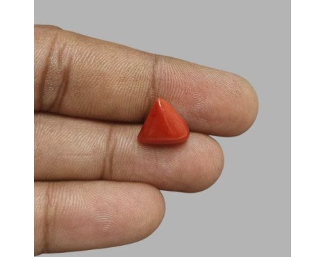 Italian Red Coral 5.87ct.@1300 per. ct.(Luxury)
