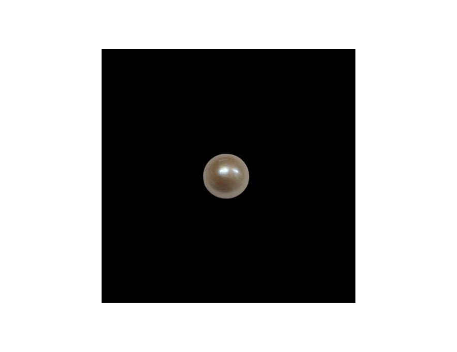 Fresh Water Pearl 6.60ct.@100 per. ct.(Economy)