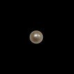 Fresh Water Pearl 6.60ct.@100 per. ct.(Economy)