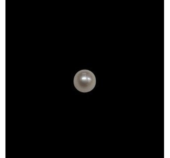 South-Sea Pearl 6.96ct.@400 per. ct.(Premium)