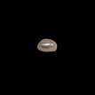 Keshi Pearl 8.34ct@700per. ct. (Super Premium)
