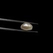 Keshi Pearl 8.34ct@700per. ct. (Super Premium)