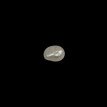 Keshi Pearl 7.51ct@700per. ct. (Super Premium)
