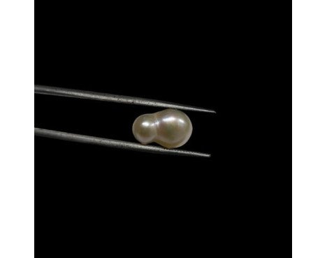 Keshi Pearl 7.30ct@700per. ct. (Super Premium)