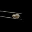 Keshi Pearl 7.30ct@700per. ct. (Super Premium)