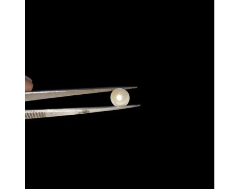 South-Sea Pearl 6.62ct.@100 per. ct.(Premium)
