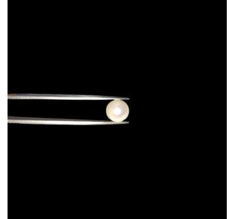 South-Sea Pearl 6.85ct.@400 per. ct. (Premium)