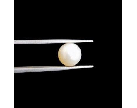 South-Sea Pearl 6.83ct.@400 per. ct. (Premium)