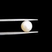 South-Sea Pearl 6.83ct.@400 per. ct. (Premium)