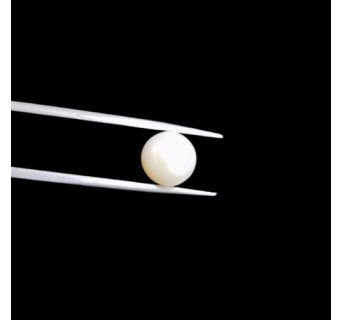 South-Sea Pearl 6.36ct.