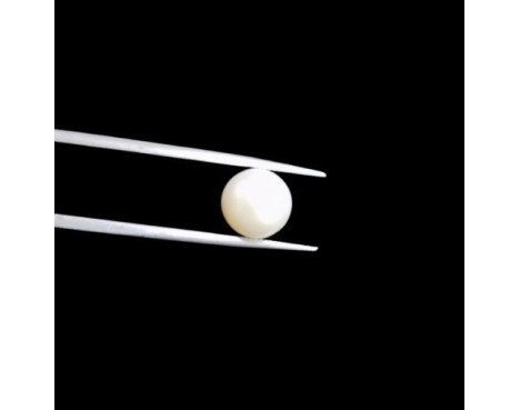 South-Sea Pearl 6.36ct.@400 per. ct. (Premium)