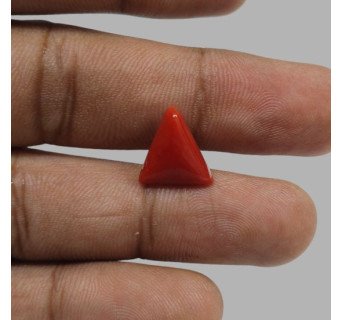 Italian Red Coral 5.76 ct.@1300 per. ct.(Luxury)