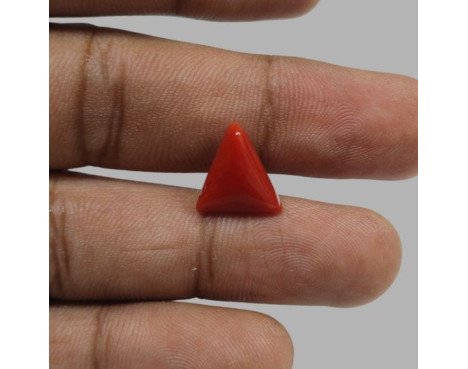 Italian Red Coral 5.76 ct.@1300 per. ct.(Luxury)