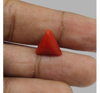 Italian Red Coral 4.89 ct.