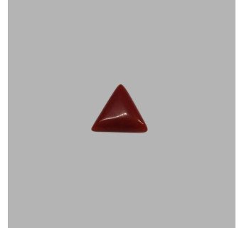 Italian Red Coral 4.89 ct.