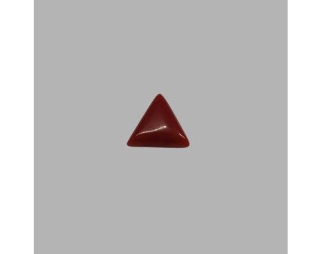 Italian Red Coral 4.89 ct.