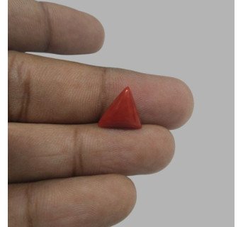 Italian Red Coral 4.86 ct.@1300 per. ct.(Luxury)