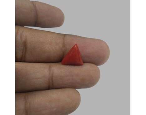 Italian Red Coral 4.86 ct.@1300 per. ct.(Luxury)