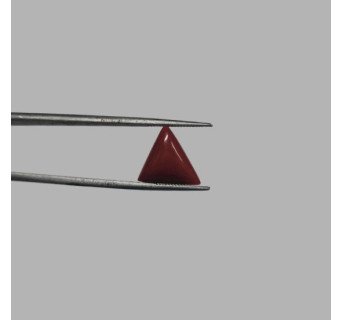 Italian Red Coral 4.86 ct.