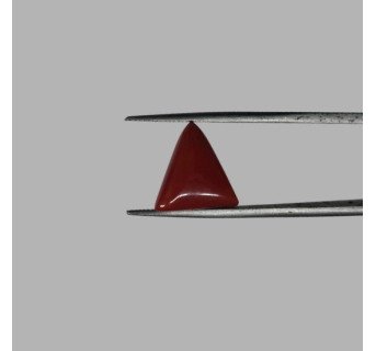 Italian Red Coral 5.57 ct.@1300 per. ct.(Luxury)