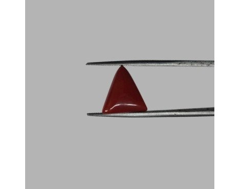 Italian Red Coral 5.57 ct.@1300 per. ct.(Luxury)