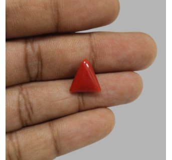 Italian Red Coral 5.57 ct.