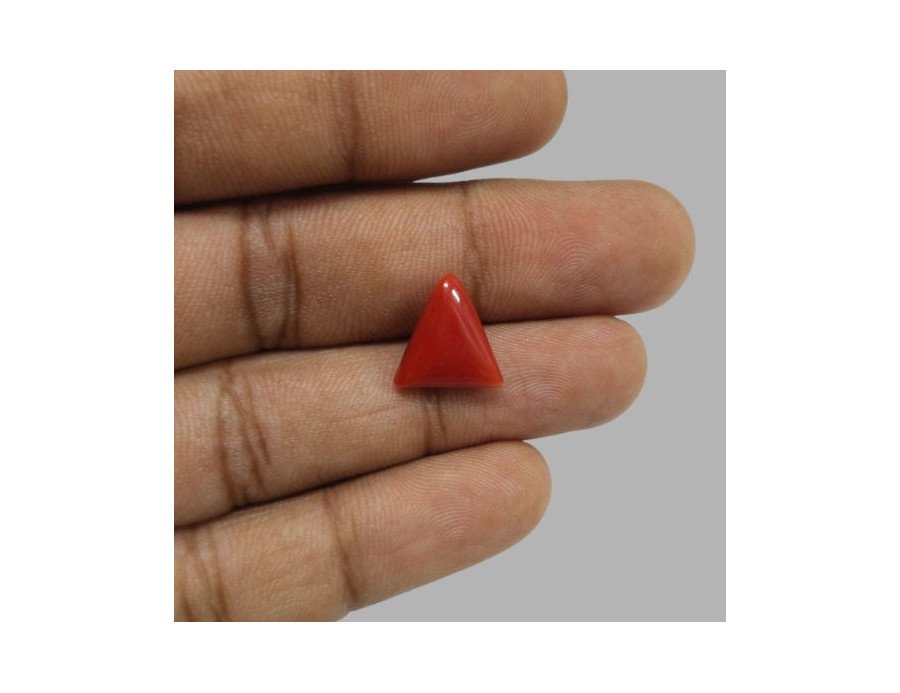 Italian Red Coral 5.57 ct.@1300 per. ct.(Luxury)
