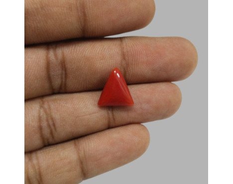 Italian Red Coral 5.57 ct.