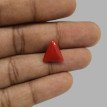Italian Red Coral 5.57 ct.@1300 per. ct.(Luxury)