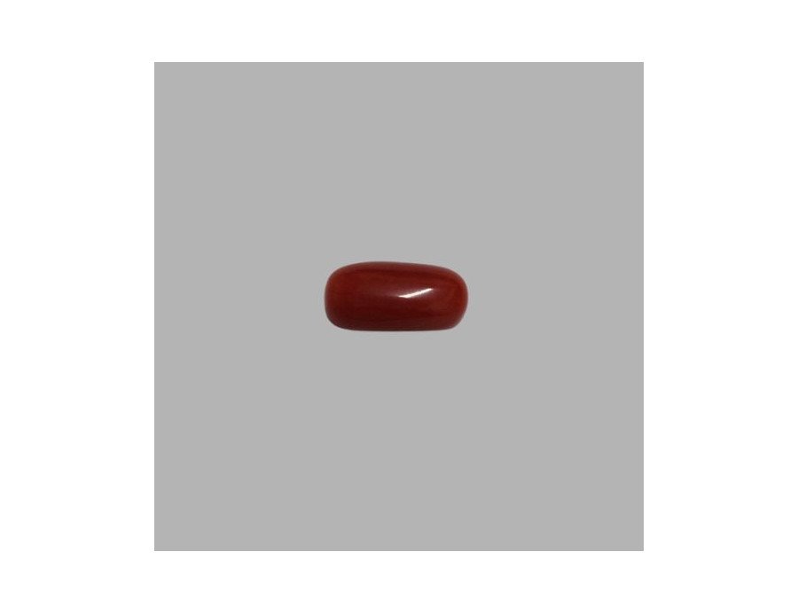 Italian Red Coral 5.80ct.@700 per. ct.(Premium) Italian Red Coral 5.80ct.@700 per. ct.(Premium)