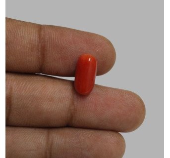 Italian Red Coral 5.80ct.@700 per. ct.(Premium)