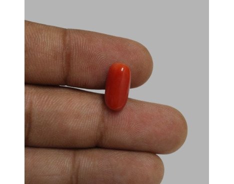 Italian Red Coral 5.80ct.@700 per. ct.(Premium)